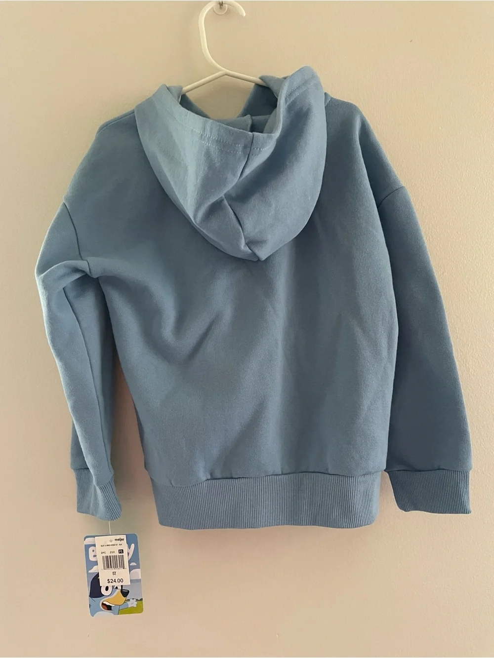 Toddler Boys NWT 5T Bluey and Bingo Hooded Sweat Pant Set